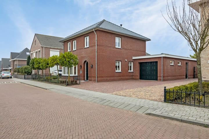 Foto 4 van Vuurvlinder 3