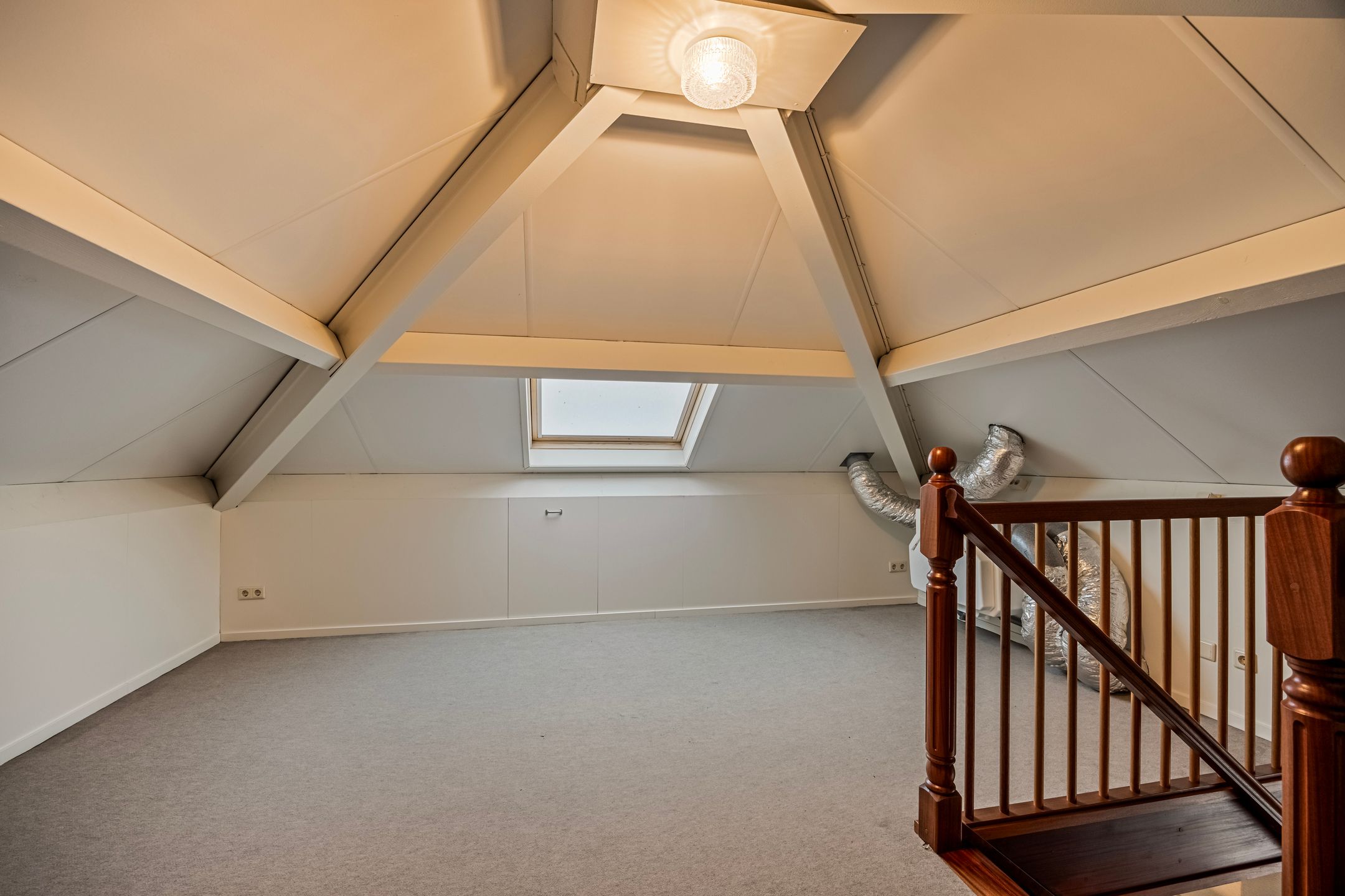 Foto 33 van Vuurvlinder 3