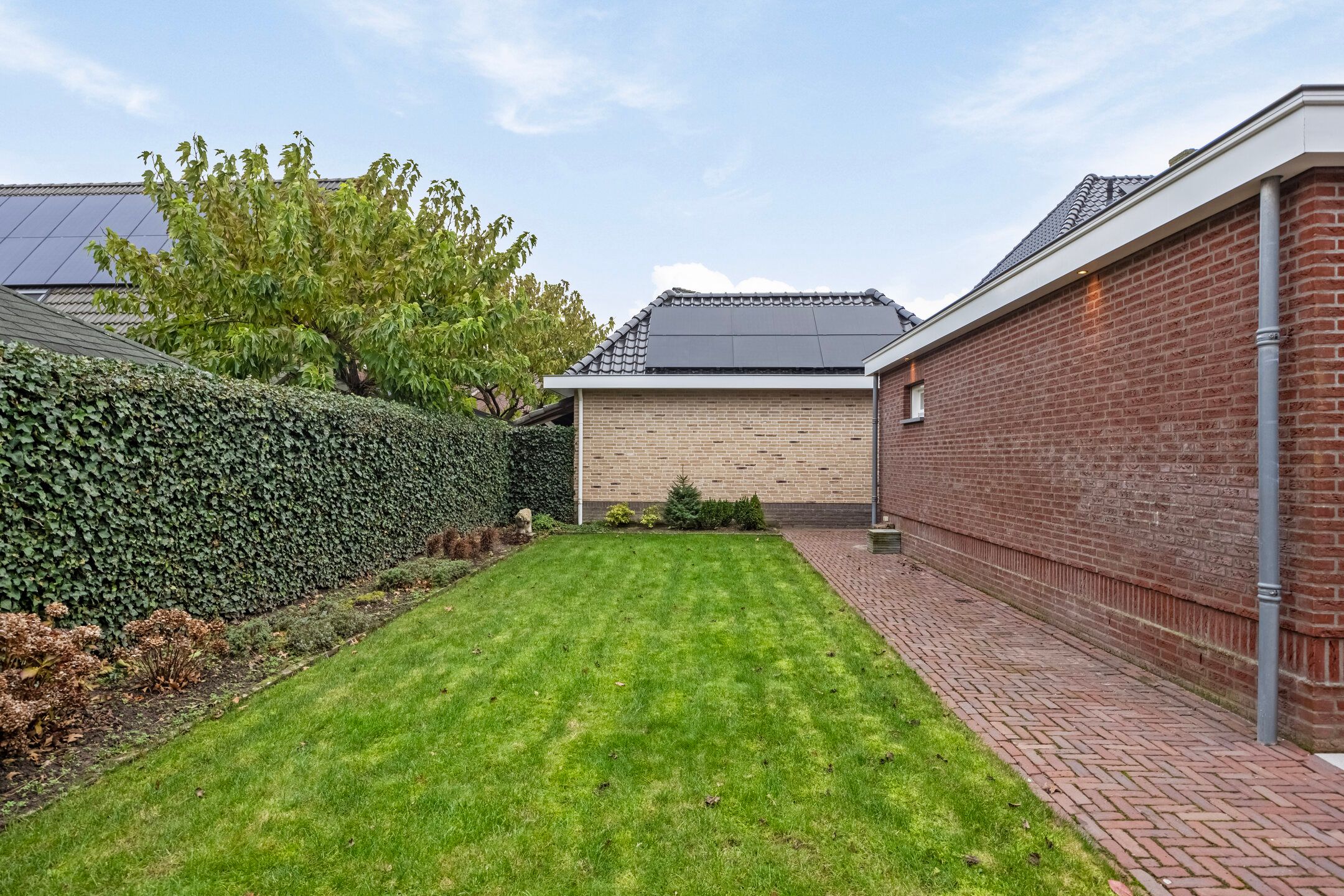 Foto 39 van Vuurvlinder 3