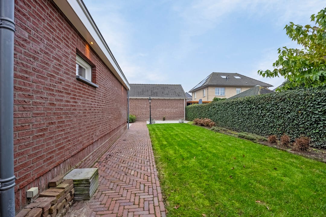 Foto 41 van Vuurvlinder 3