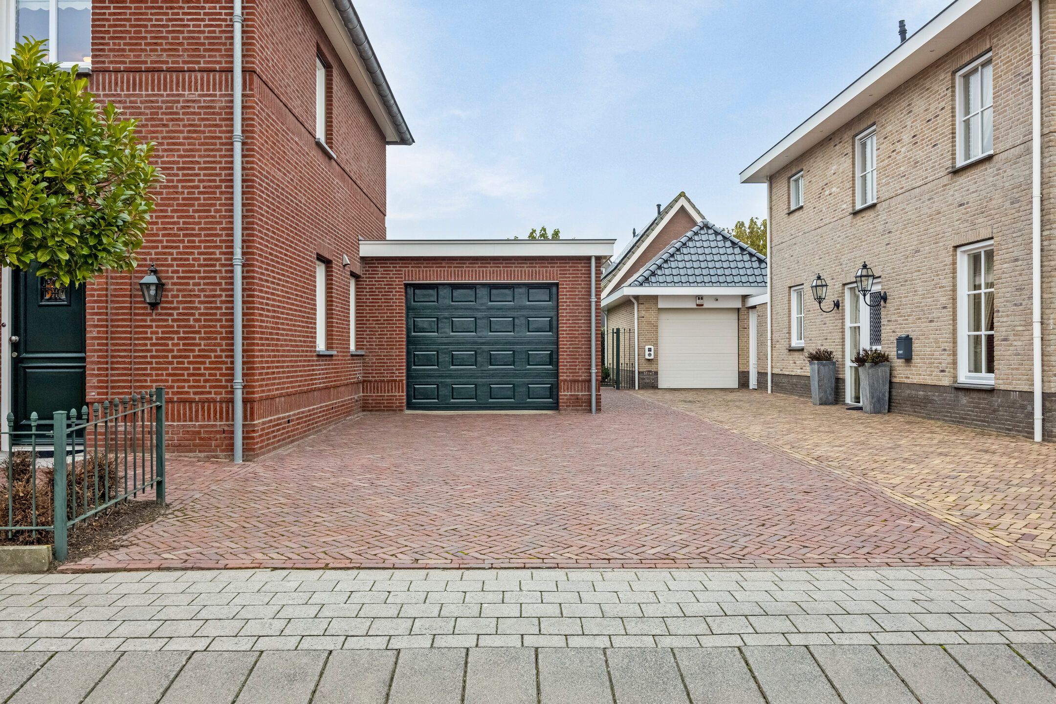 Foto 42 van Vuurvlinder 3