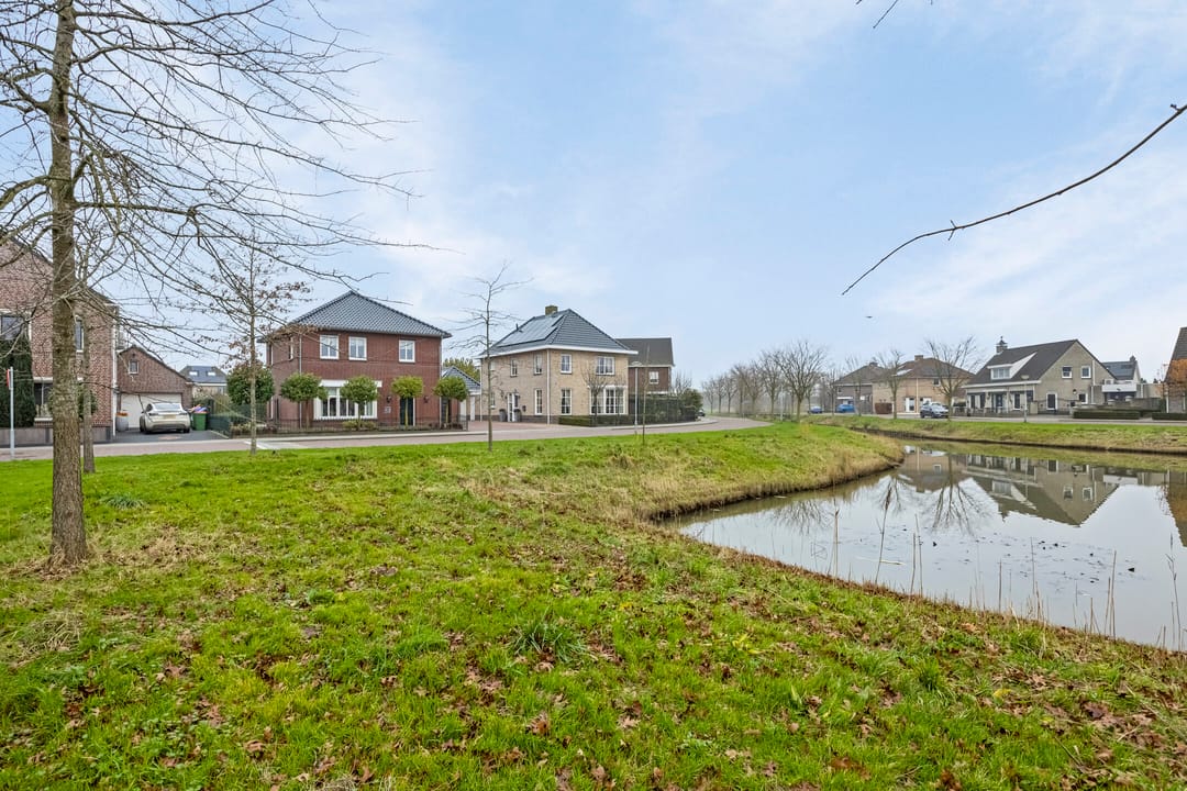 Foto 43 van Vuurvlinder 3