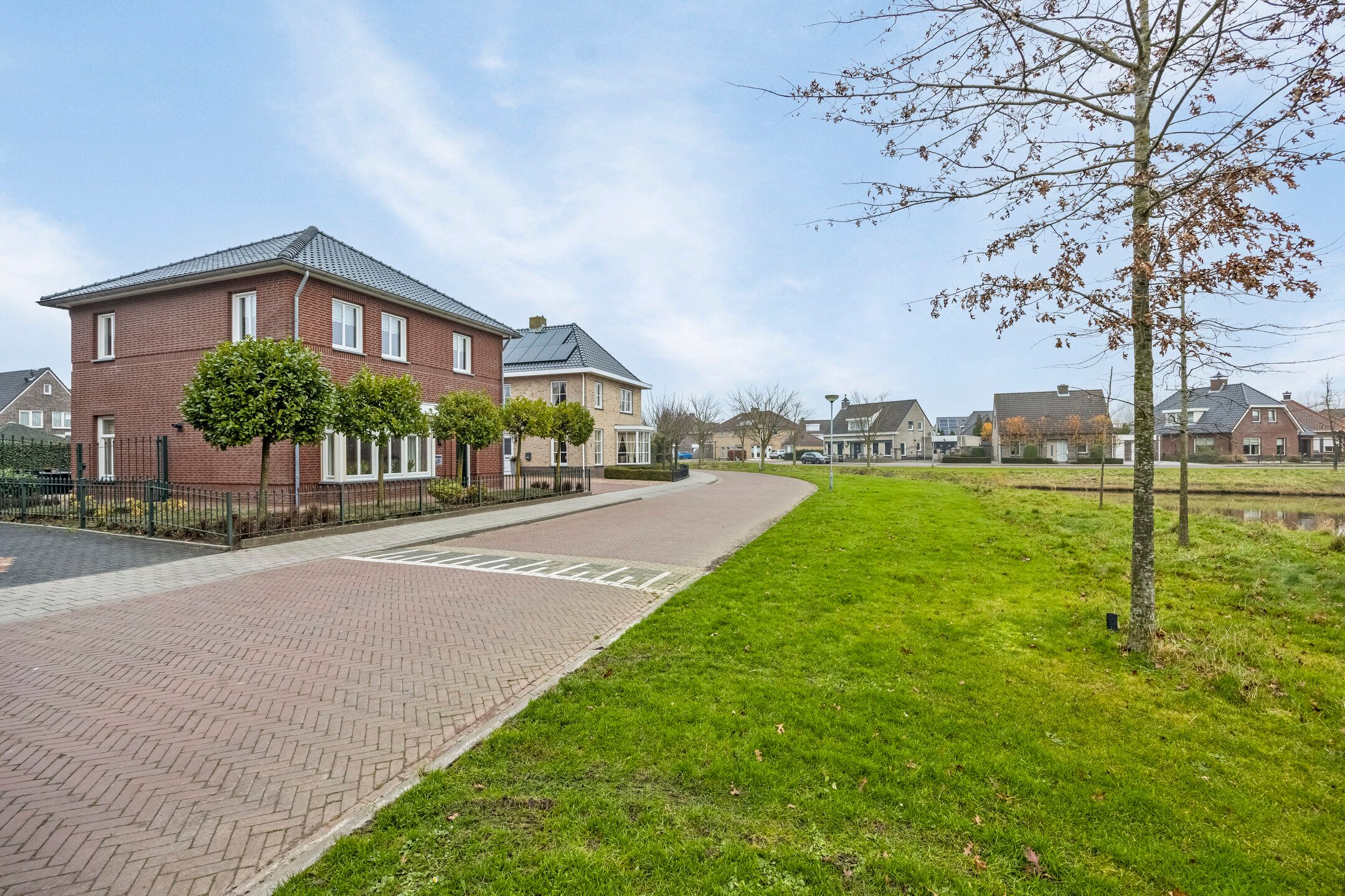 Foto 45 van Vuurvlinder 3