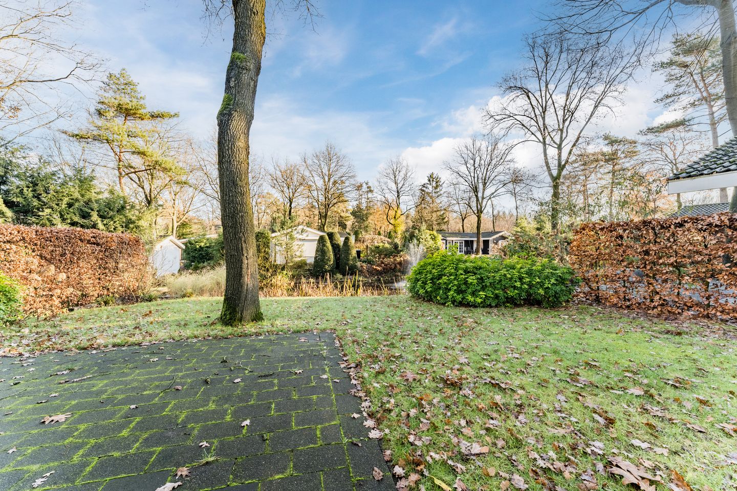 Foto 20 van Immenweg 15-R239