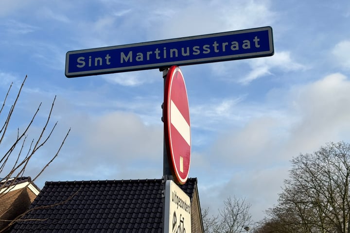 Bekijk foto 2 van Sint Martinusstraat 56