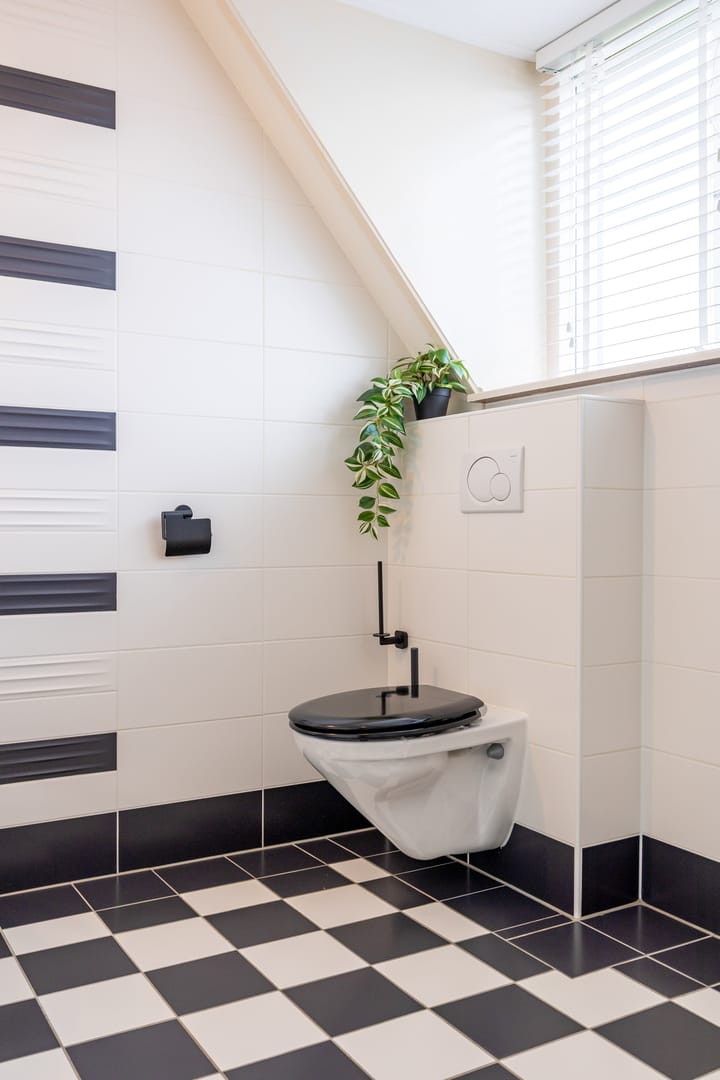 Foto 57 van Schuitenzand 11