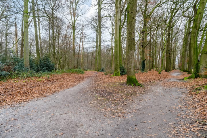 Foto 54 van Kerkstraat 8