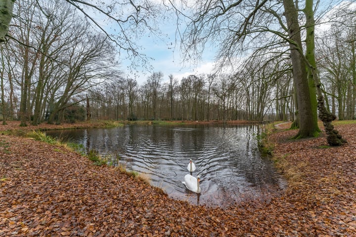 Bekijk foto 55 van Kerkstraat 8