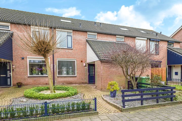 Foto 1 van Sterappel 5