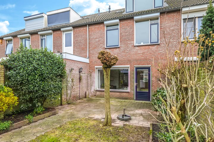 Foto 45 van Sterappel 5