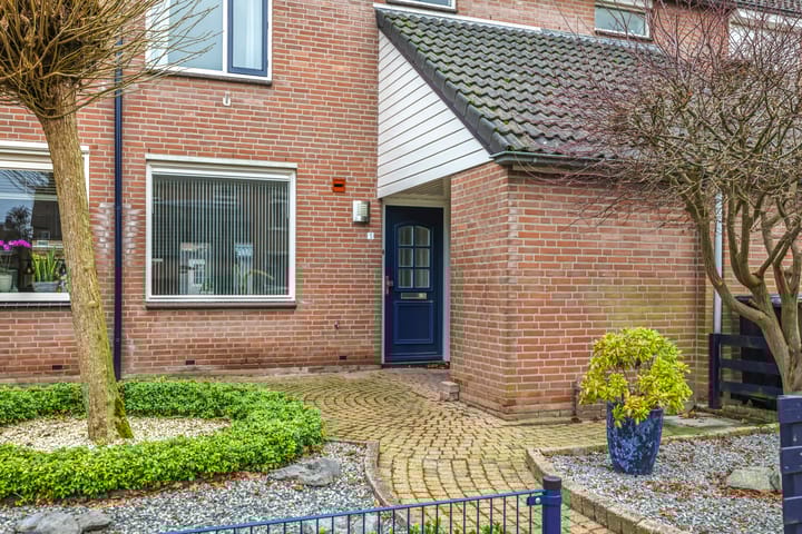 Foto 47 van Sterappel 5