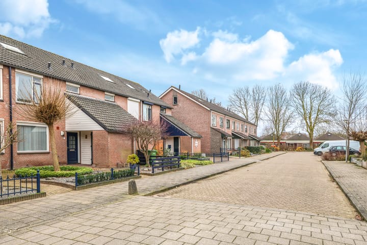 Foto 51 van Sterappel 5