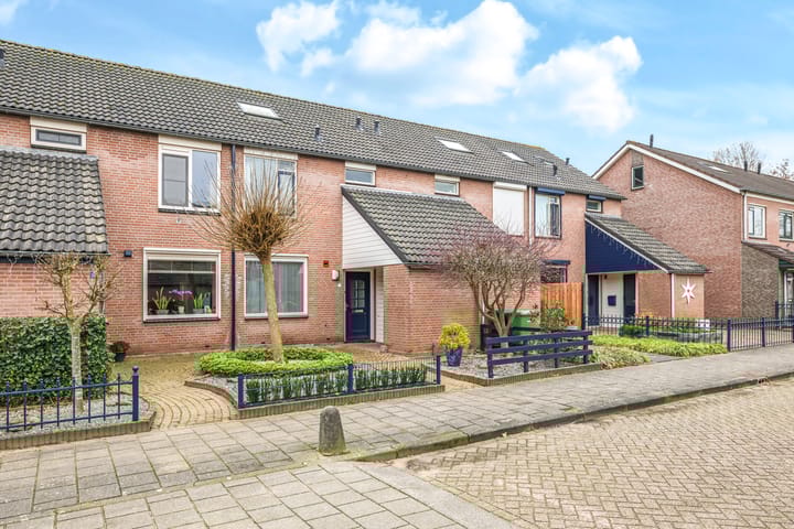 Foto 50 van Sterappel 5