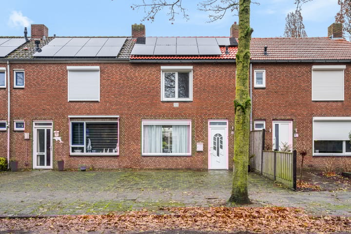 Foto 40 van Schuttebeemd 77