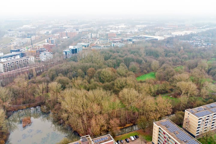 Foto 31 van Rietzangerstraat 53