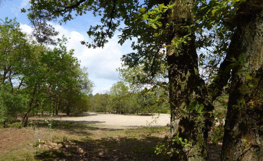 Foto 18 van Brabantse Hoeve 9