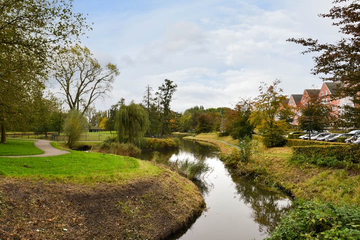 View photo 47 of Zuiderplantsoen 56