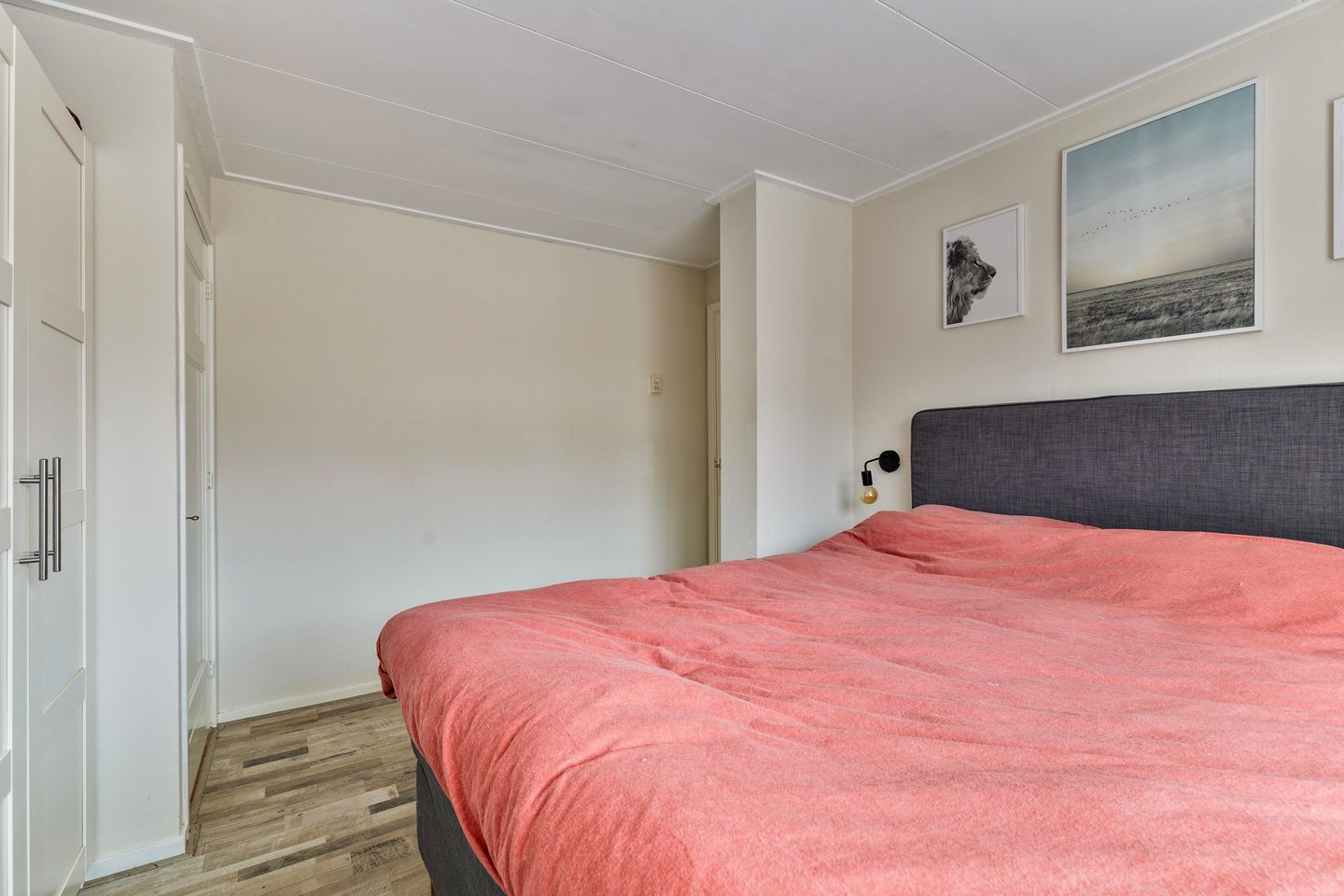 Foto 25 van Flamingolaan 25