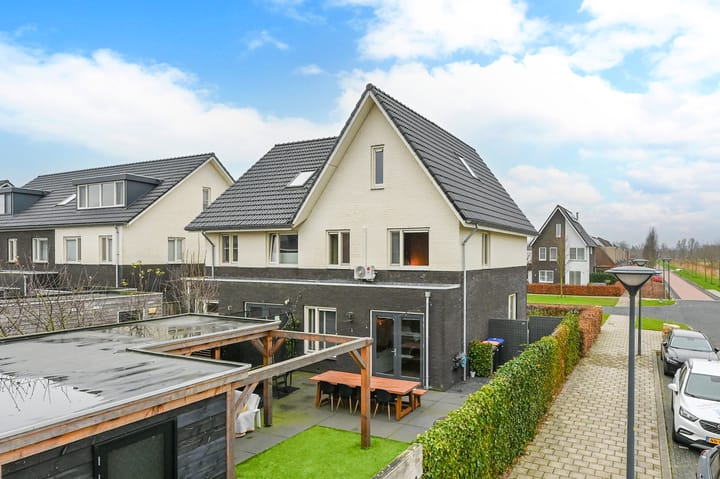 Foto 2 van Elementen 1