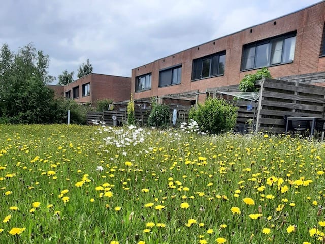 Foto 1 van Duinvoet 70