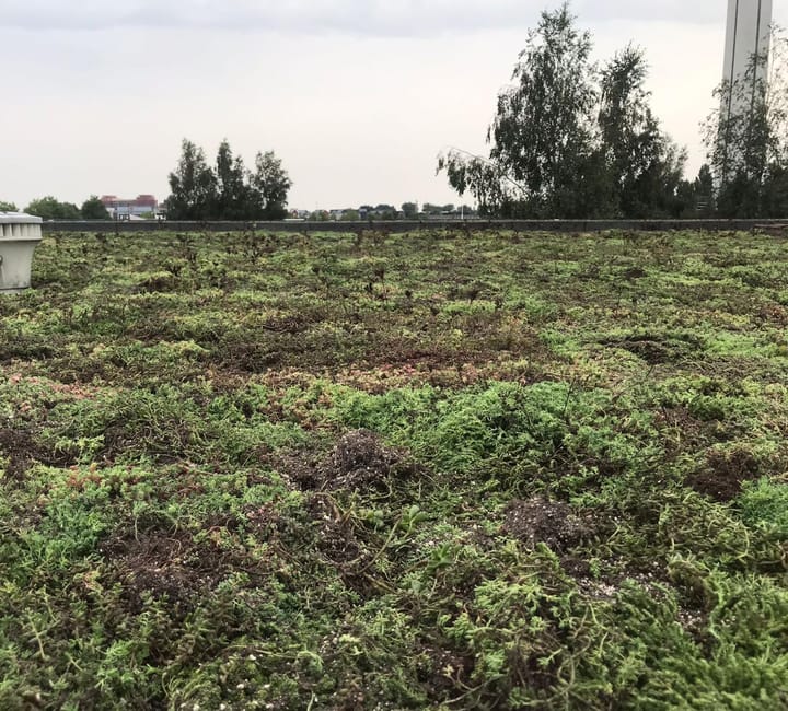 Foto 41 van Duinvoet 70