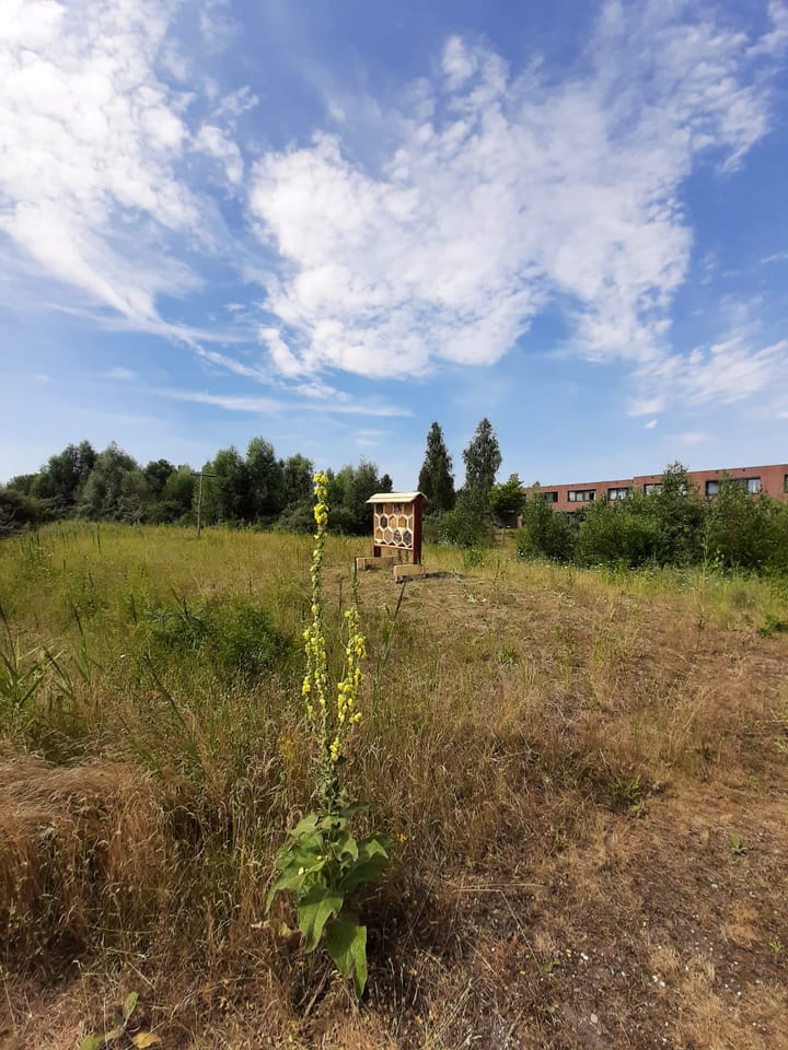 Foto 44 van Duinvoet 70