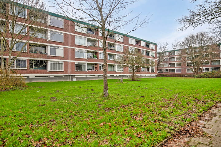 Foto 15 van Ruigoord 182