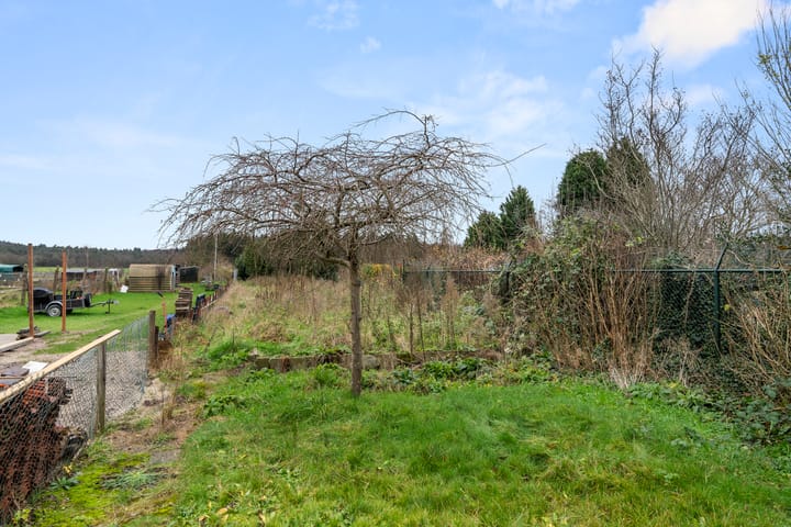 Foto 5 van Franseweg 18