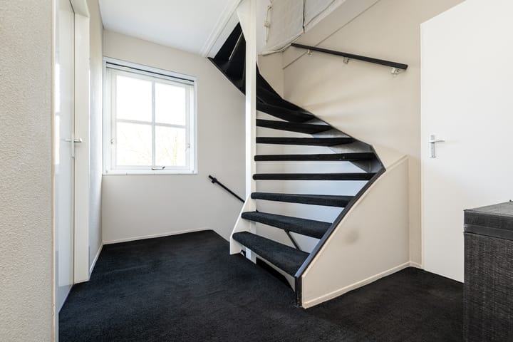 Foto 21 van Gerbera 21