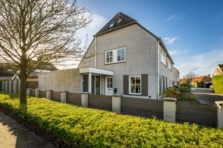 Foto 29 van Gerbera 21