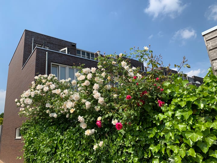 Foto 33 van Vasalislaan 124