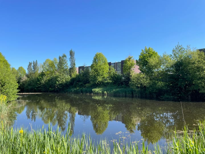 Foto 34 van Vasalislaan 124