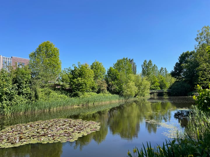 Foto 35 van Vasalislaan 124