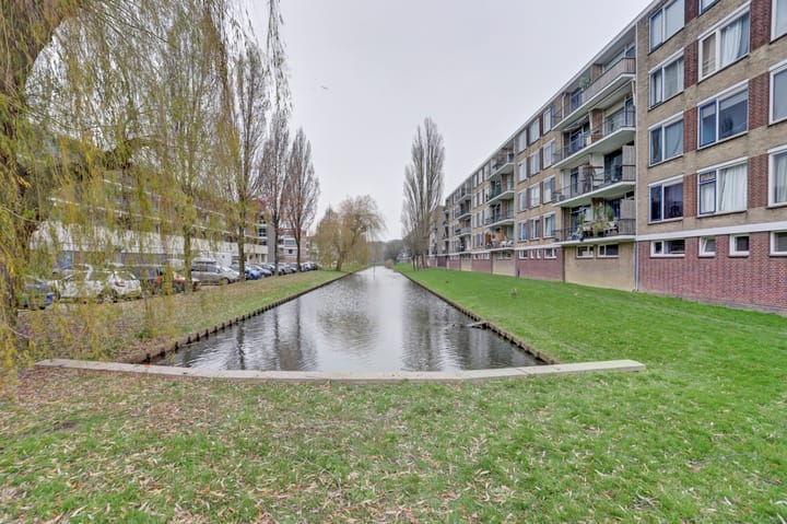 Foto 3 van Dahliastraat 56