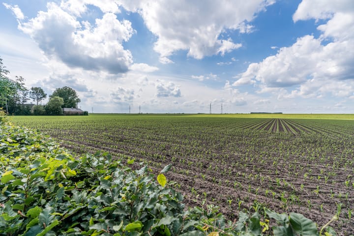 Foto 82 van Kerkstraat 50