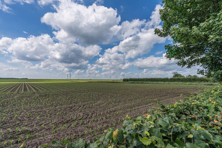 Foto 83 van Kerkstraat 50