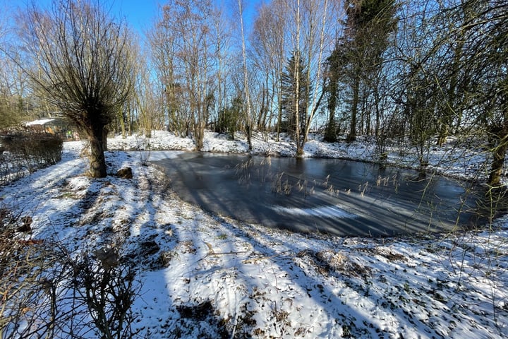 Bekijk foto 50 van Graaf Jansdijk 80