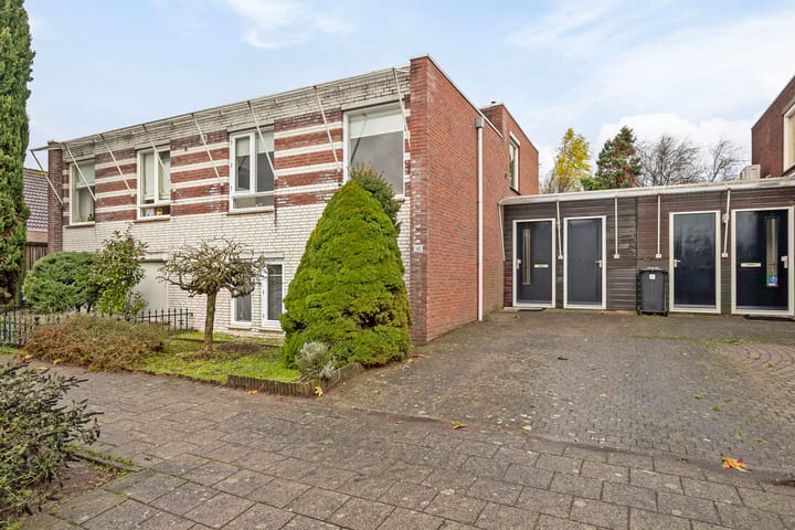 Foto 6 van Buizerd 140