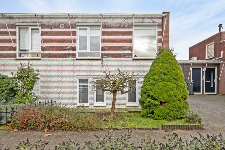 Foto 7 van Buizerd 140