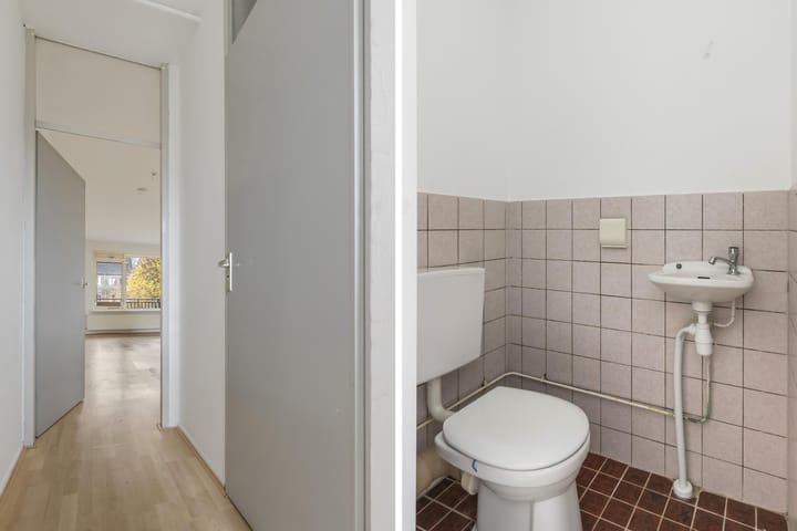 Foto 5 van Antilopespoor 270