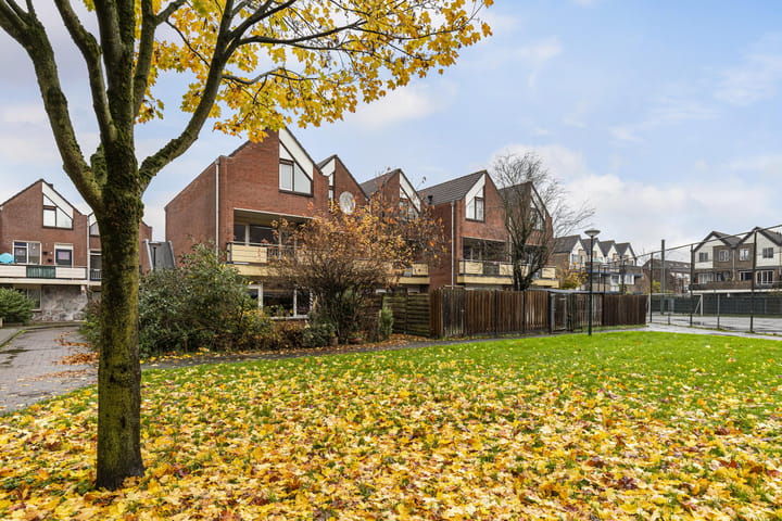 Foto 26 van Antilopespoor 270