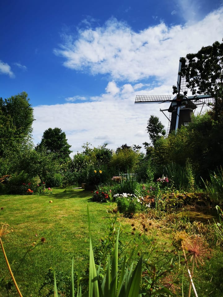 Foto 80 van Noorderweg 8