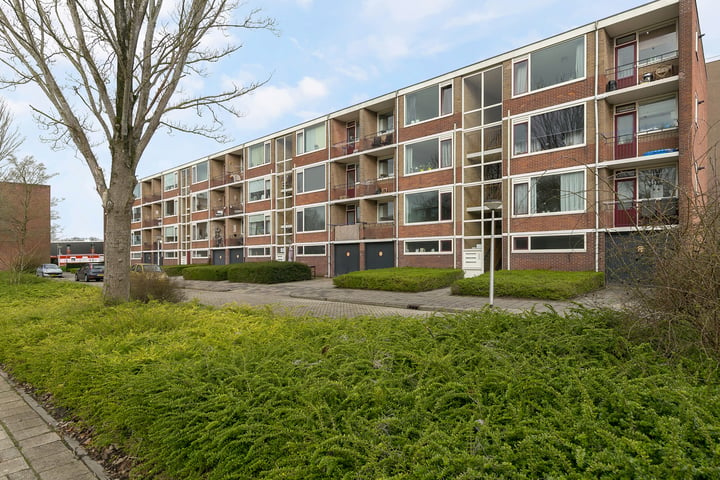 View photo 1 of Bordineweg 36-B