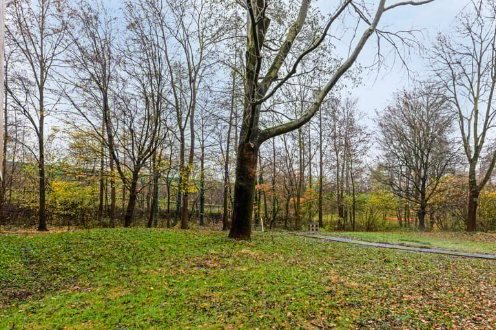 Foto 27 van Planetenlaan 297