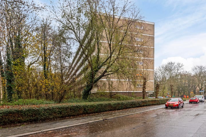 Foto 26 van Planetenlaan 297