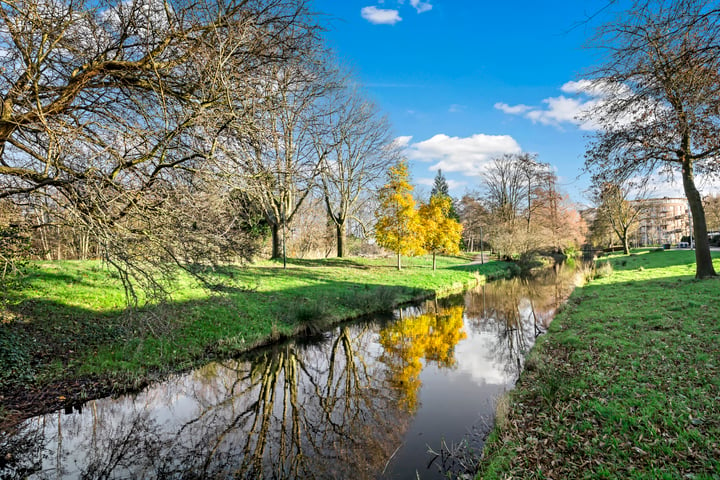 Bekijk foto 41 van Graaf Adolflaan 3