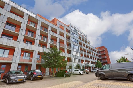 undefined main image