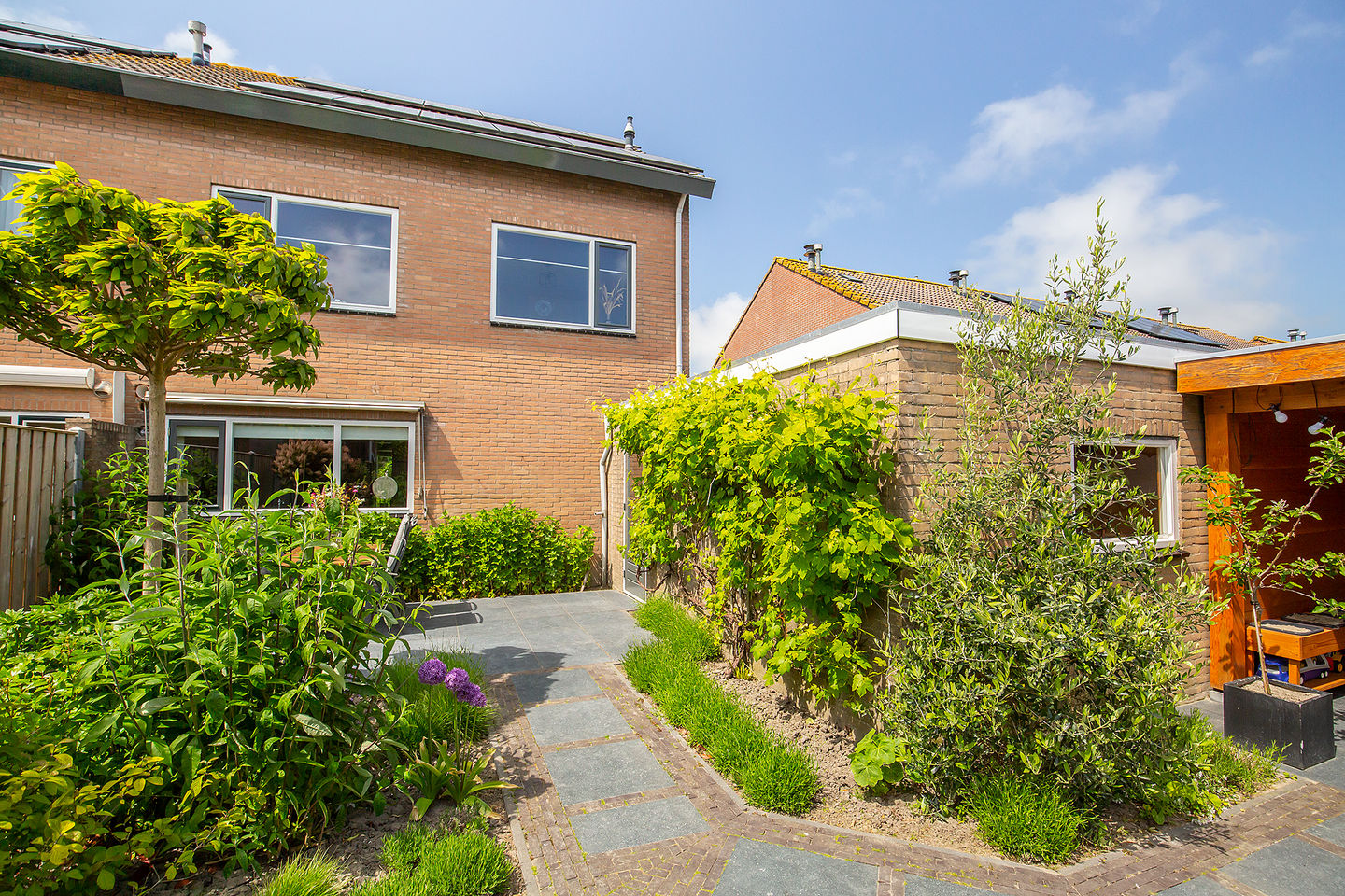 Foto 5 van Thibautstraat 4