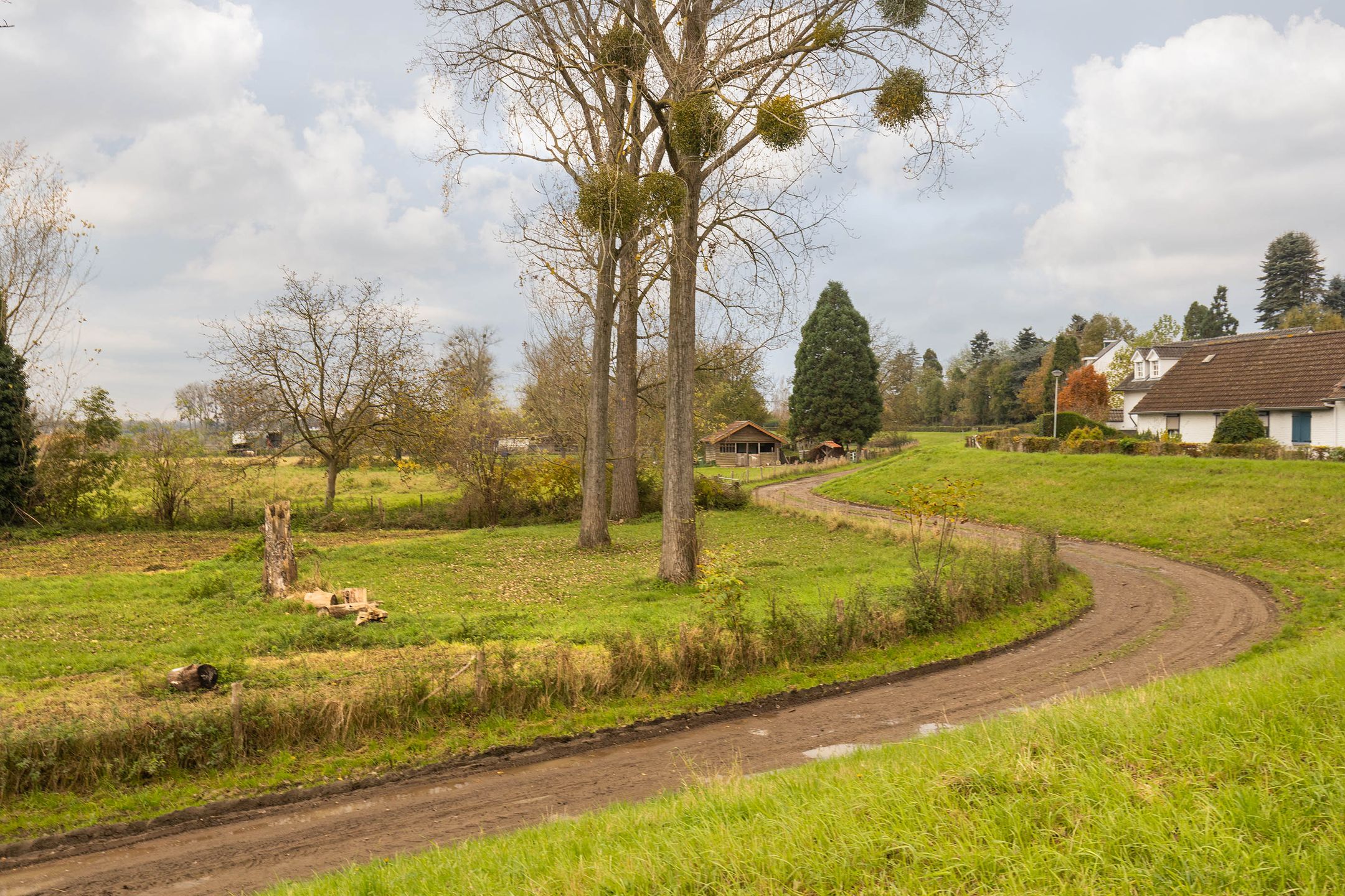 Foto 6 van Lindendriesstraat 1