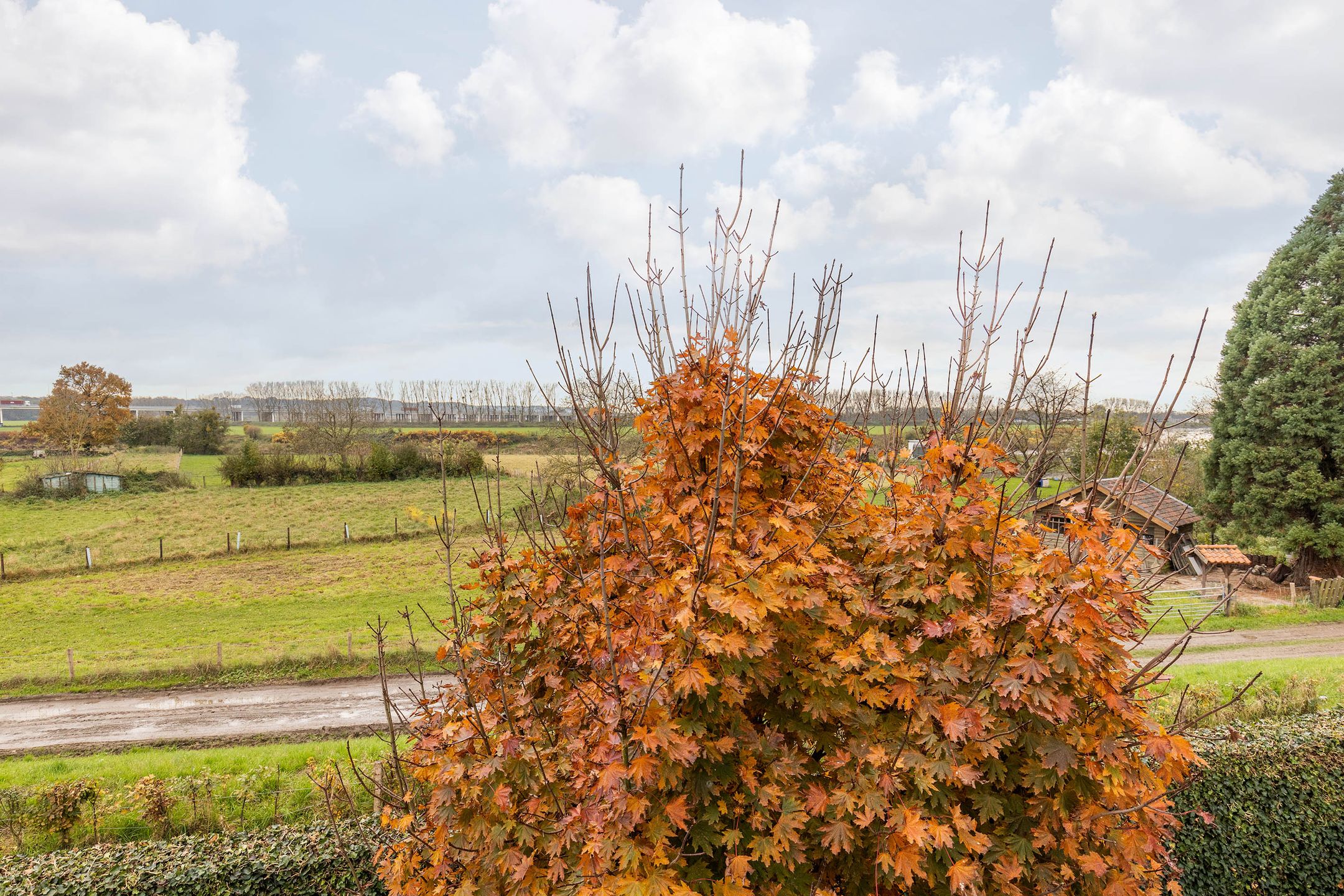 Foto 69 van Lindendriesstraat 1